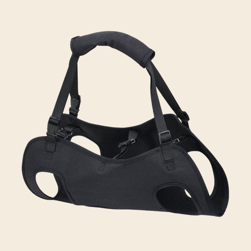 Padded lift support harness with handle