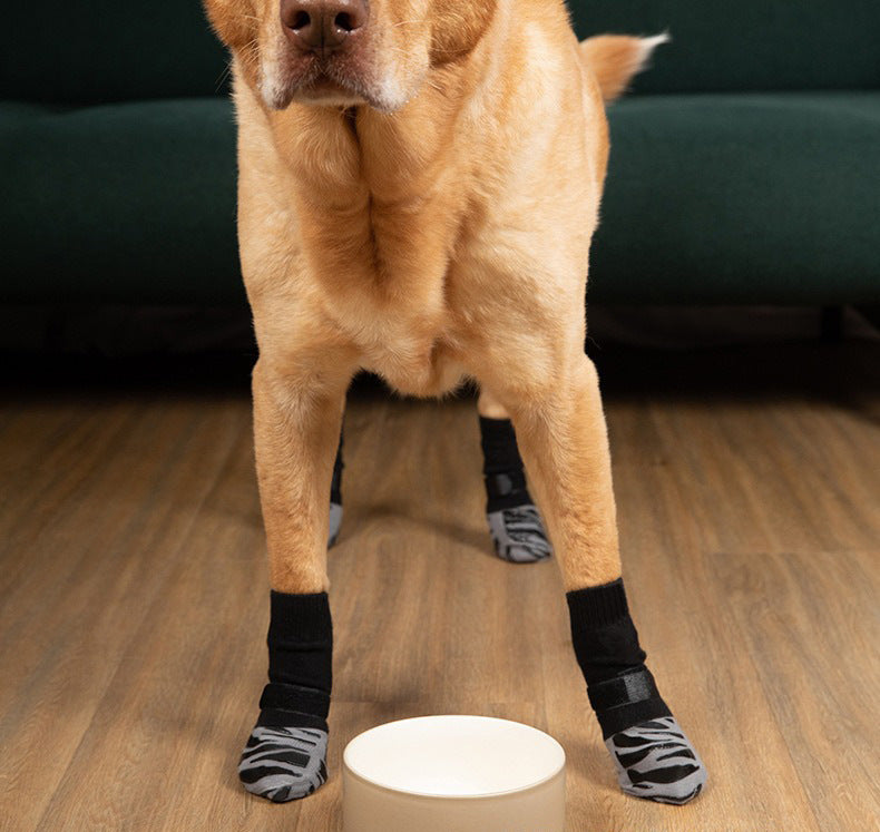 Dog standing on a wood floor wearing grip socks